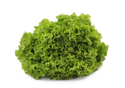 Салат романо 1 кг - купить в Инцах